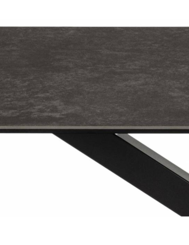 Dining table TERRY 160x90 grey-brown