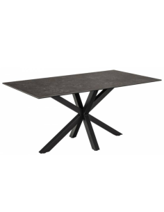 Dining table TERRY 160x90...